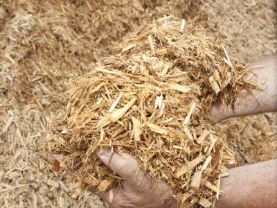 Grade B Cypress - Image 2