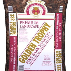 Large Nugget Pine Bark