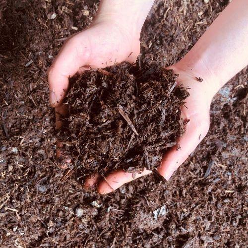 Mushroom Compost - Image 3