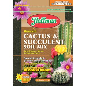 Cactus & Succulent Soil