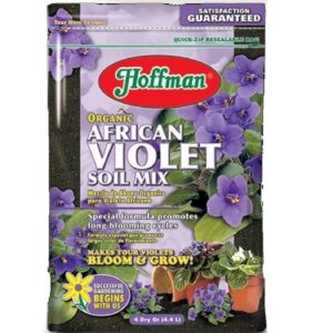 African Violet Soil