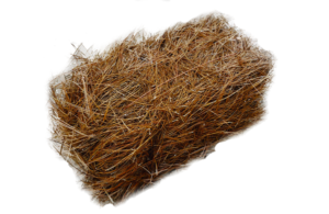 Pine Straw